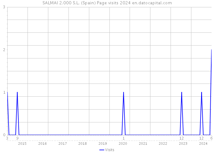 SALMAI 2.000 S.L. (Spain) Page visits 2024 