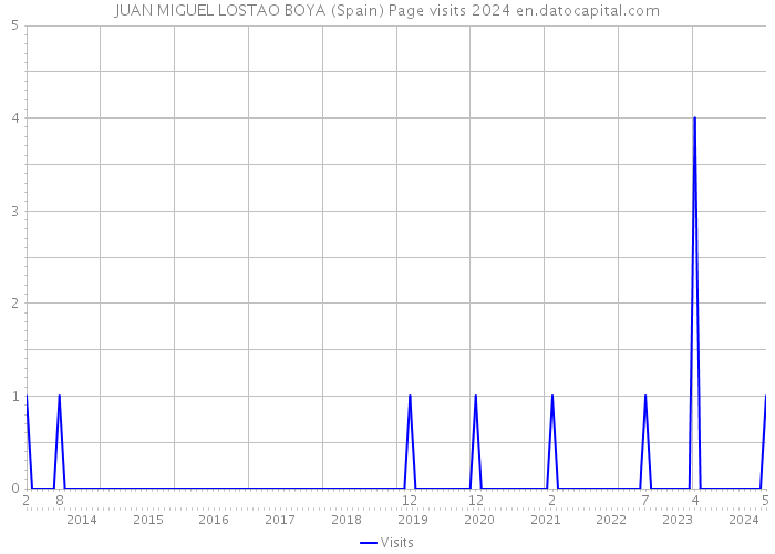 JUAN MIGUEL LOSTAO BOYA (Spain) Page visits 2024 