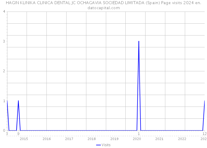 HAGIN KLINIKA CLINICA DENTAL JC OCHAGAVIA SOCIEDAD LIMITADA (Spain) Page visits 2024 
