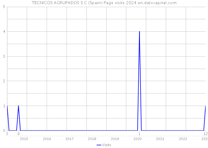 TECNICOS AGRUPADOS S C (Spain) Page visits 2024 