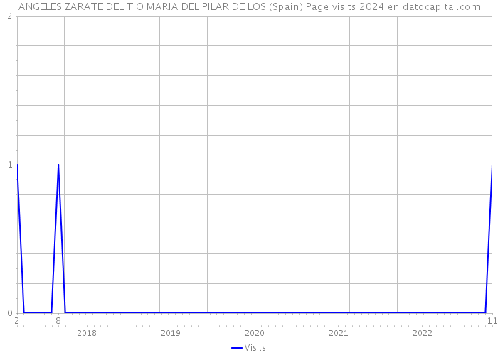 ANGELES ZARATE DEL TIO MARIA DEL PILAR DE LOS (Spain) Page visits 2024 