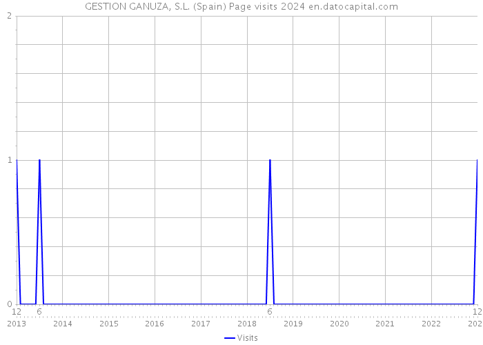 GESTION GANUZA, S.L. (Spain) Page visits 2024 