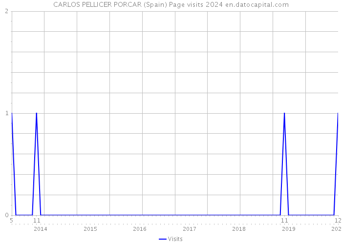 CARLOS PELLICER PORCAR (Spain) Page visits 2024 