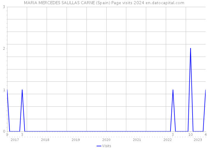 MARIA MERCEDES SALILLAS CARNE (Spain) Page visits 2024 