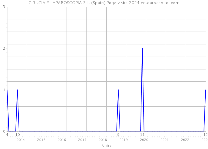CIRUGIA Y LAPAROSCOPIA S.L. (Spain) Page visits 2024 