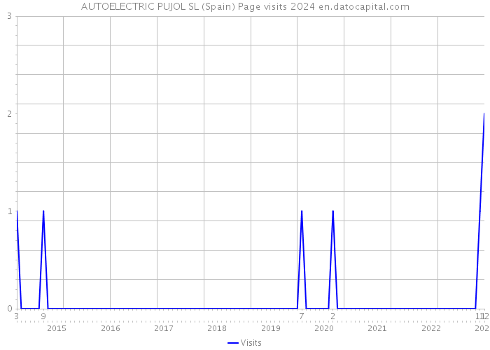 AUTOELECTRIC PUJOL SL (Spain) Page visits 2024 