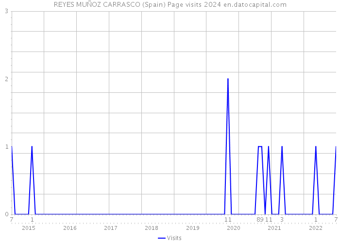 REYES MUÑOZ CARRASCO (Spain) Page visits 2024 