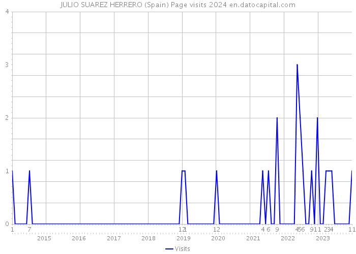 JULIO SUAREZ HERRERO (Spain) Page visits 2024 