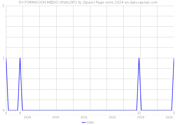 DV FORMACION MEDIO VINALOPO SL (Spain) Page visits 2024 