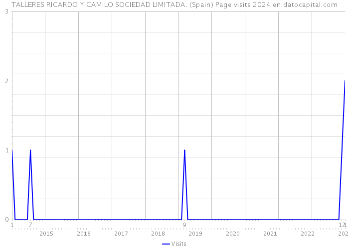 TALLERES RICARDO Y CAMILO SOCIEDAD LIMITADA. (Spain) Page visits 2024 