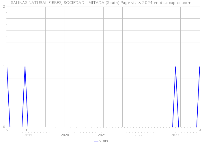 SALINAS NATURAL FIBRES, SOCIEDAD LIMITADA (Spain) Page visits 2024 