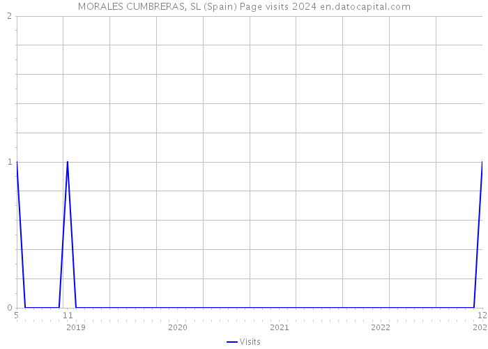 MORALES CUMBRERAS, SL (Spain) Page visits 2024 