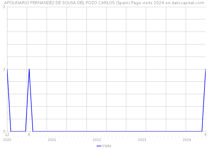 APOLINARIO FERNANDEZ DE SOUSA DEL POZO CARLOS (Spain) Page visits 2024 