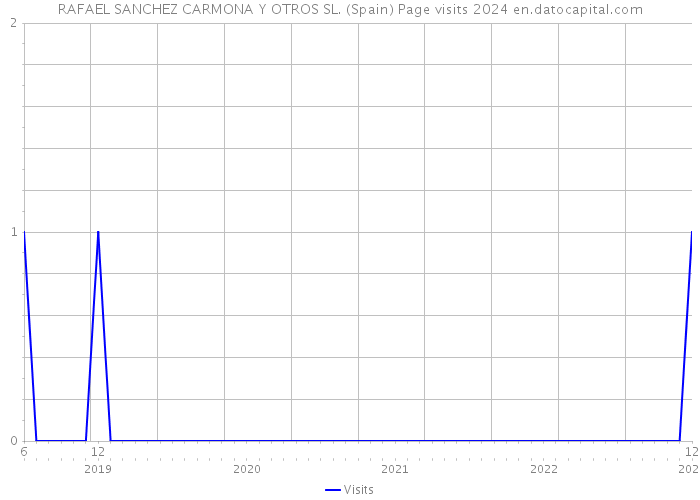 RAFAEL SANCHEZ CARMONA Y OTROS SL. (Spain) Page visits 2024 