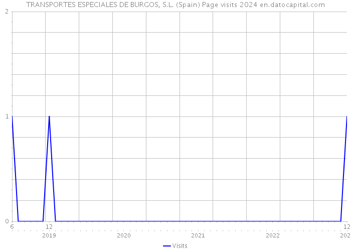 TRANSPORTES ESPECIALES DE BURGOS, S.L. (Spain) Page visits 2024 