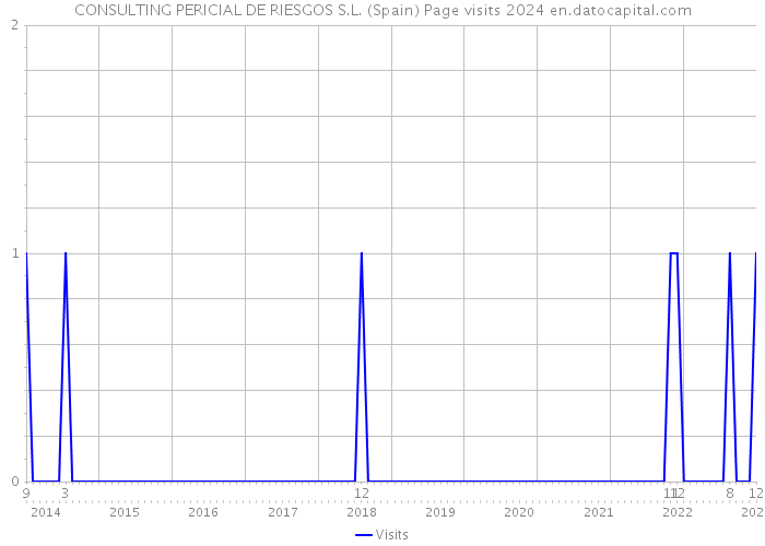 CONSULTING PERICIAL DE RIESGOS S.L. (Spain) Page visits 2024 