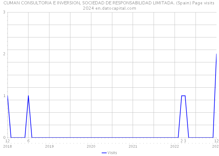 CUMAN CONSULTORIA E INVERSION, SOCIEDAD DE RESPONSABILIDAD LIMITADA. (Spain) Page visits 2024 