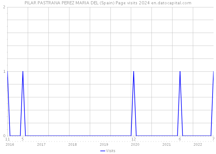 PILAR PASTRANA PEREZ MARIA DEL (Spain) Page visits 2024 