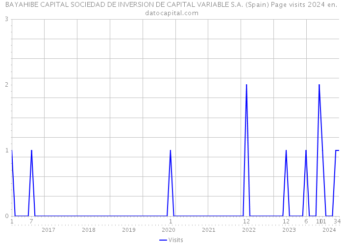 BAYAHIBE CAPITAL SOCIEDAD DE INVERSION DE CAPITAL VARIABLE S.A. (Spain) Page visits 2024 