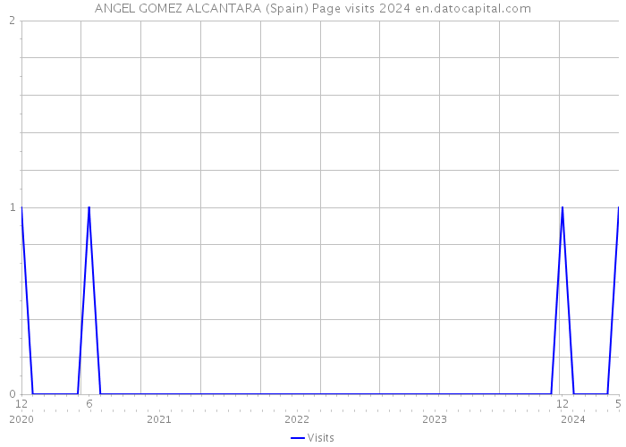 ANGEL GOMEZ ALCANTARA (Spain) Page visits 2024 