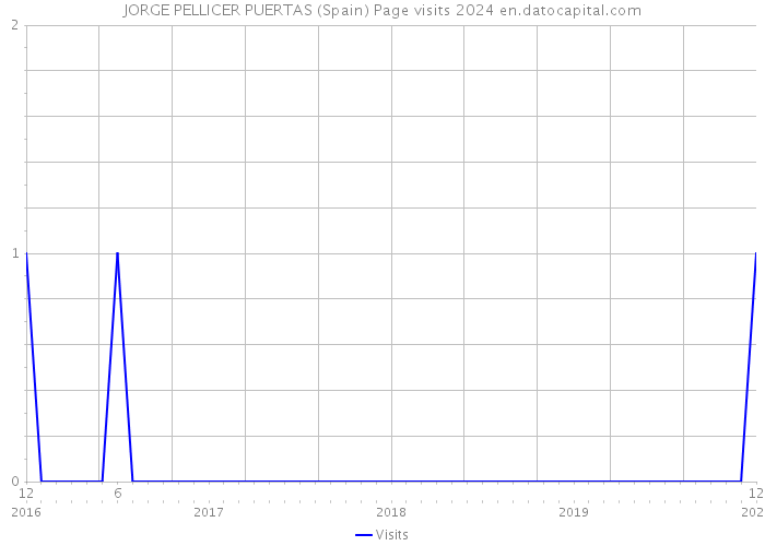 JORGE PELLICER PUERTAS (Spain) Page visits 2024 