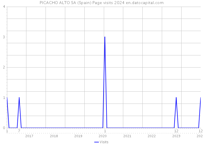 PICACHO ALTO SA (Spain) Page visits 2024 