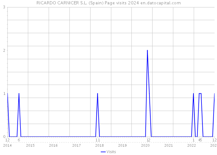 RICARDO CARNICER S.L. (Spain) Page visits 2024 