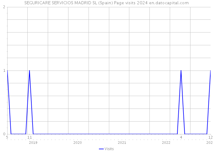 SEGURICARE SERVICIOS MADRID SL (Spain) Page visits 2024 