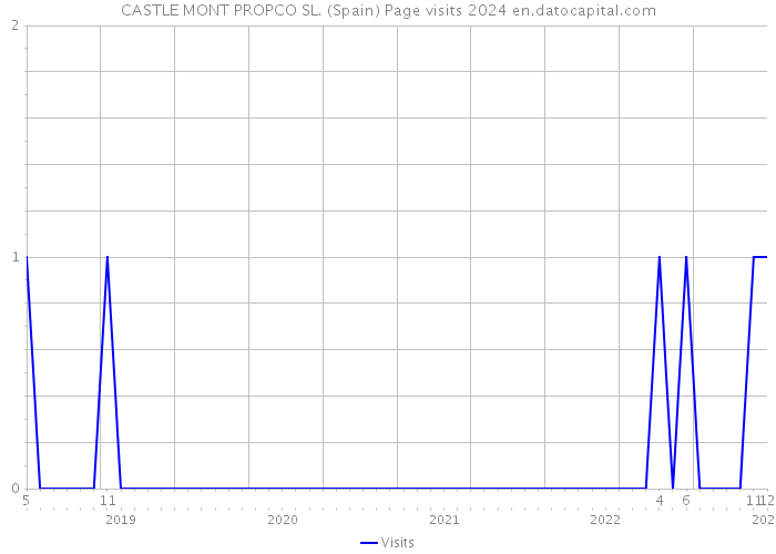 CASTLE MONT PROPCO SL. (Spain) Page visits 2024 