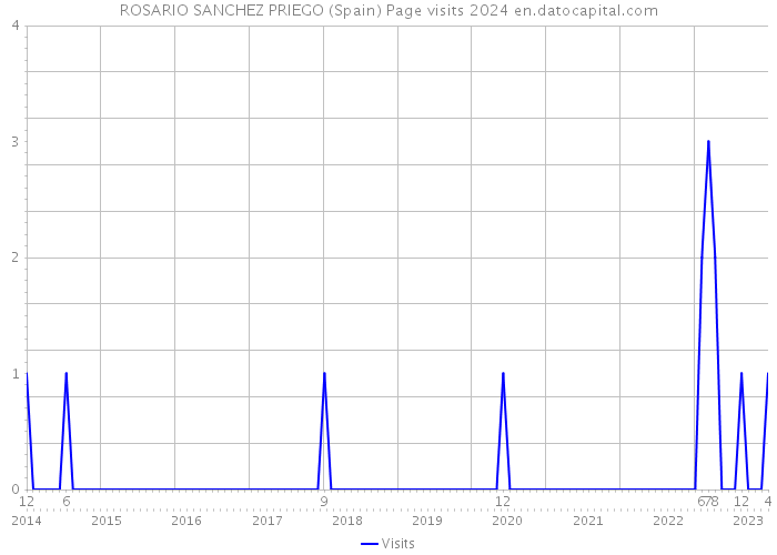 ROSARIO SANCHEZ PRIEGO (Spain) Page visits 2024 