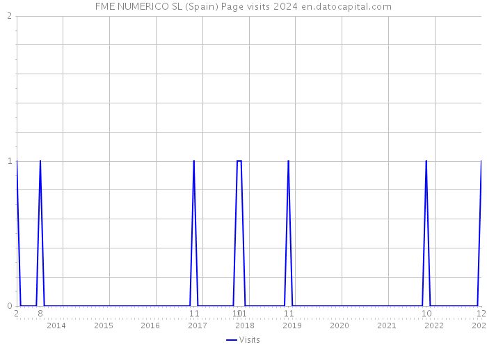 FME NUMERICO SL (Spain) Page visits 2024 