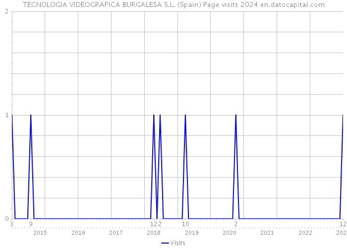 TECNOLOGIA VIDEOGRAFICA BURGALESA S.L. (Spain) Page visits 2024 