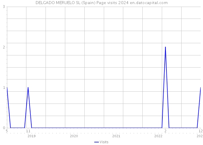 DELGADO MERUELO SL (Spain) Page visits 2024 