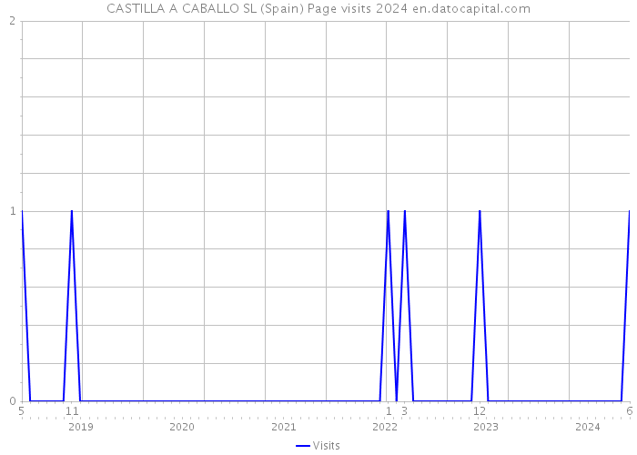 CASTILLA A CABALLO SL (Spain) Page visits 2024 