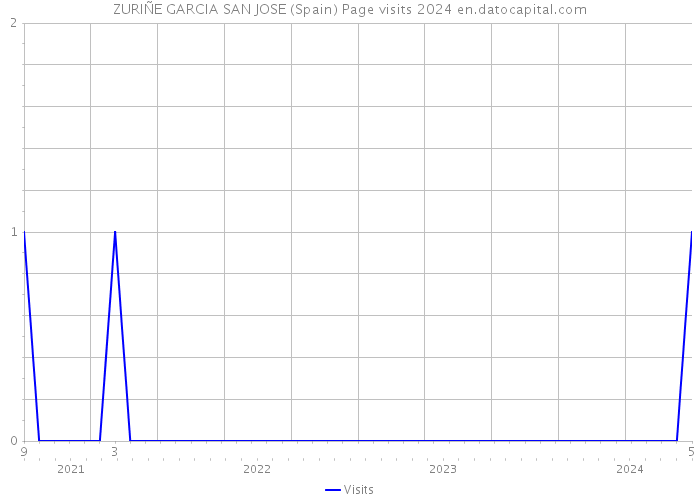 ZURIÑE GARCIA SAN JOSE (Spain) Page visits 2024 