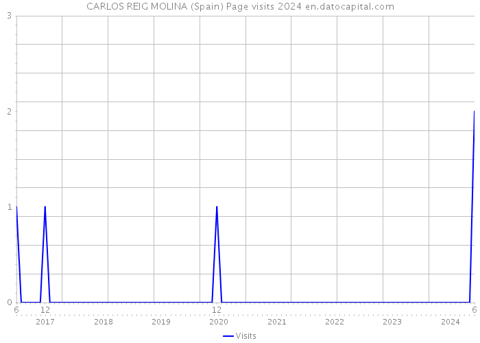 CARLOS REIG MOLINA (Spain) Page visits 2024 