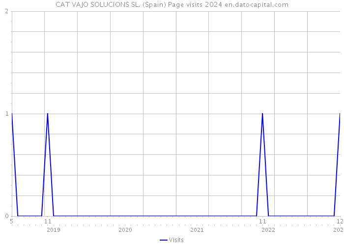 CAT VAJO SOLUCIONS SL. (Spain) Page visits 2024 