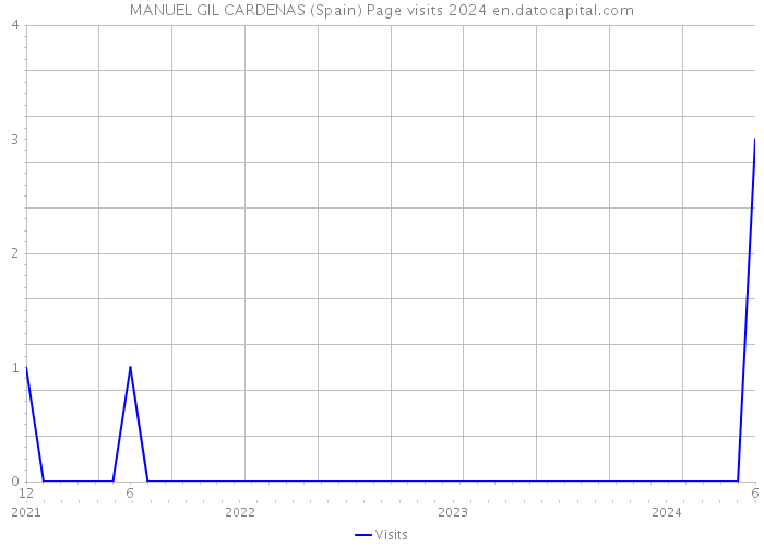 MANUEL GIL CARDENAS (Spain) Page visits 2024 