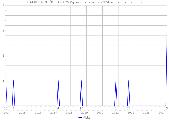 CAMILO RODIÑO SANTOS (Spain) Page visits 2024 