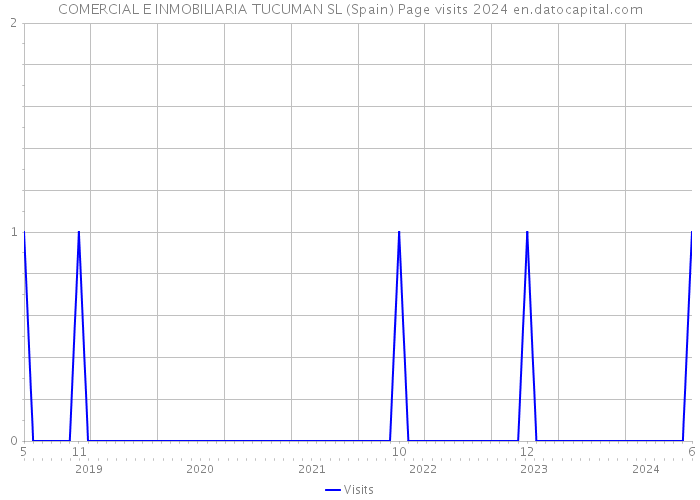 COMERCIAL E INMOBILIARIA TUCUMAN SL (Spain) Page visits 2024 