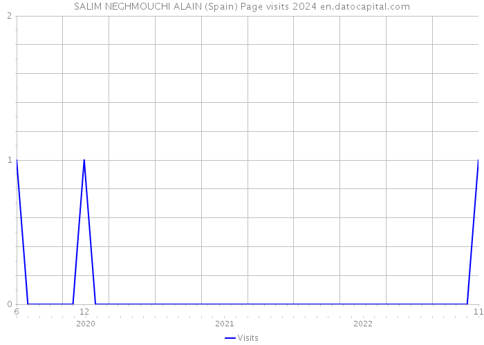 SALIM NEGHMOUCHI ALAIN (Spain) Page visits 2024 