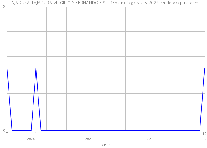 TAJADURA TAJADURA VIRGILIO Y FERNANDO S S.L. (Spain) Page visits 2024 