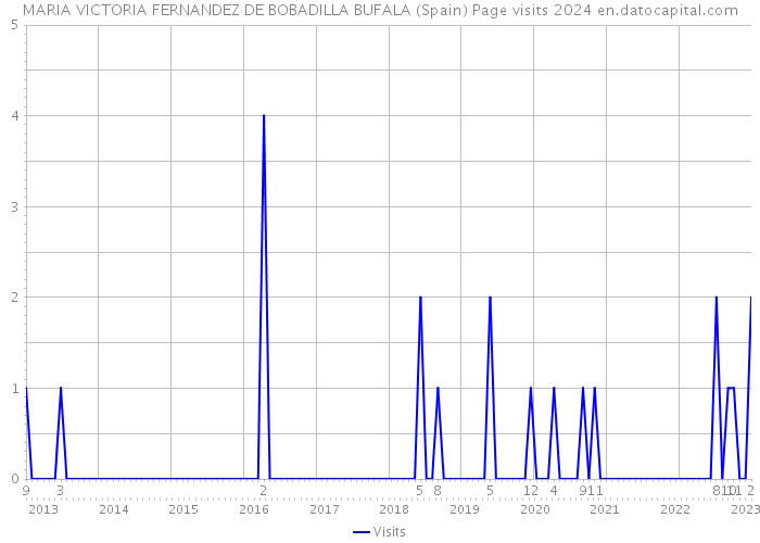 MARIA VICTORIA FERNANDEZ DE BOBADILLA BUFALA (Spain) Page visits 2024 