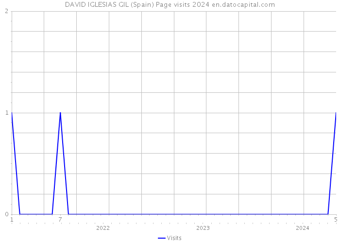 DAVID IGLESIAS GIL (Spain) Page visits 2024 