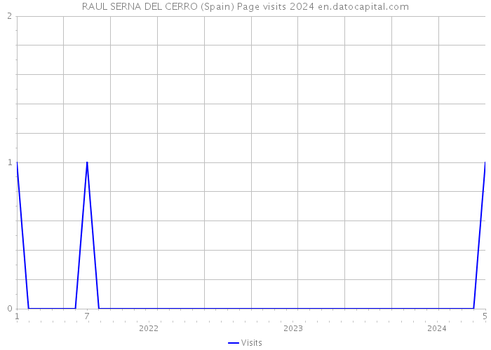 RAUL SERNA DEL CERRO (Spain) Page visits 2024 