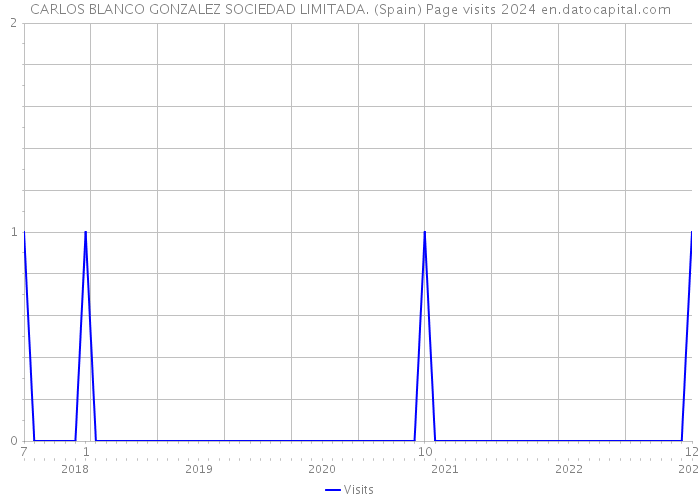 CARLOS BLANCO GONZALEZ SOCIEDAD LIMITADA. (Spain) Page visits 2024 