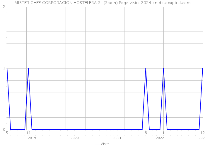MISTER CHEF CORPORACION HOSTELERA SL (Spain) Page visits 2024 