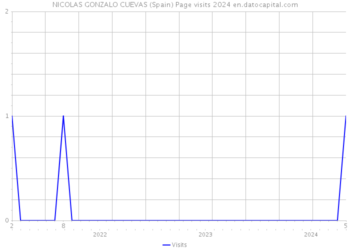 NICOLAS GONZALO CUEVAS (Spain) Page visits 2024 