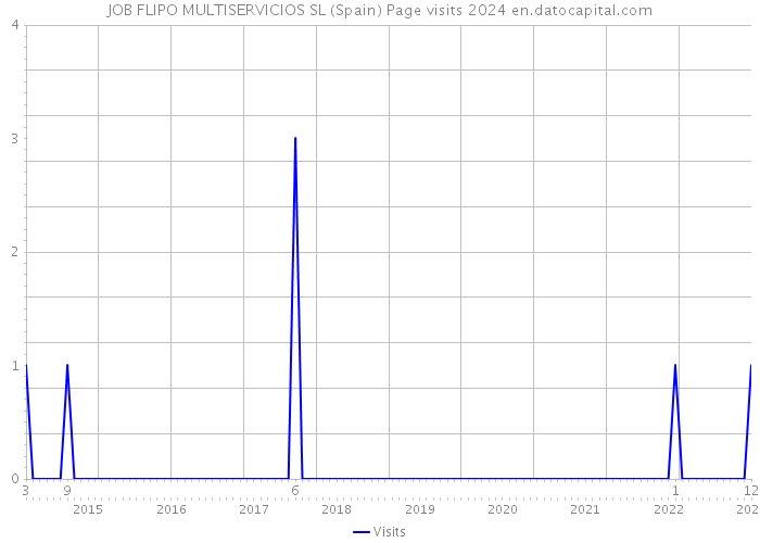 JOB FLIPO MULTISERVICIOS SL (Spain) Page visits 2024 