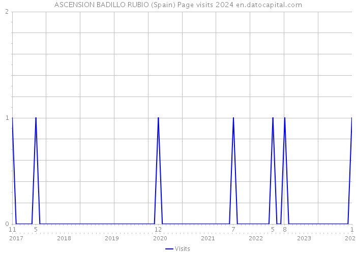ASCENSION BADILLO RUBIO (Spain) Page visits 2024 
